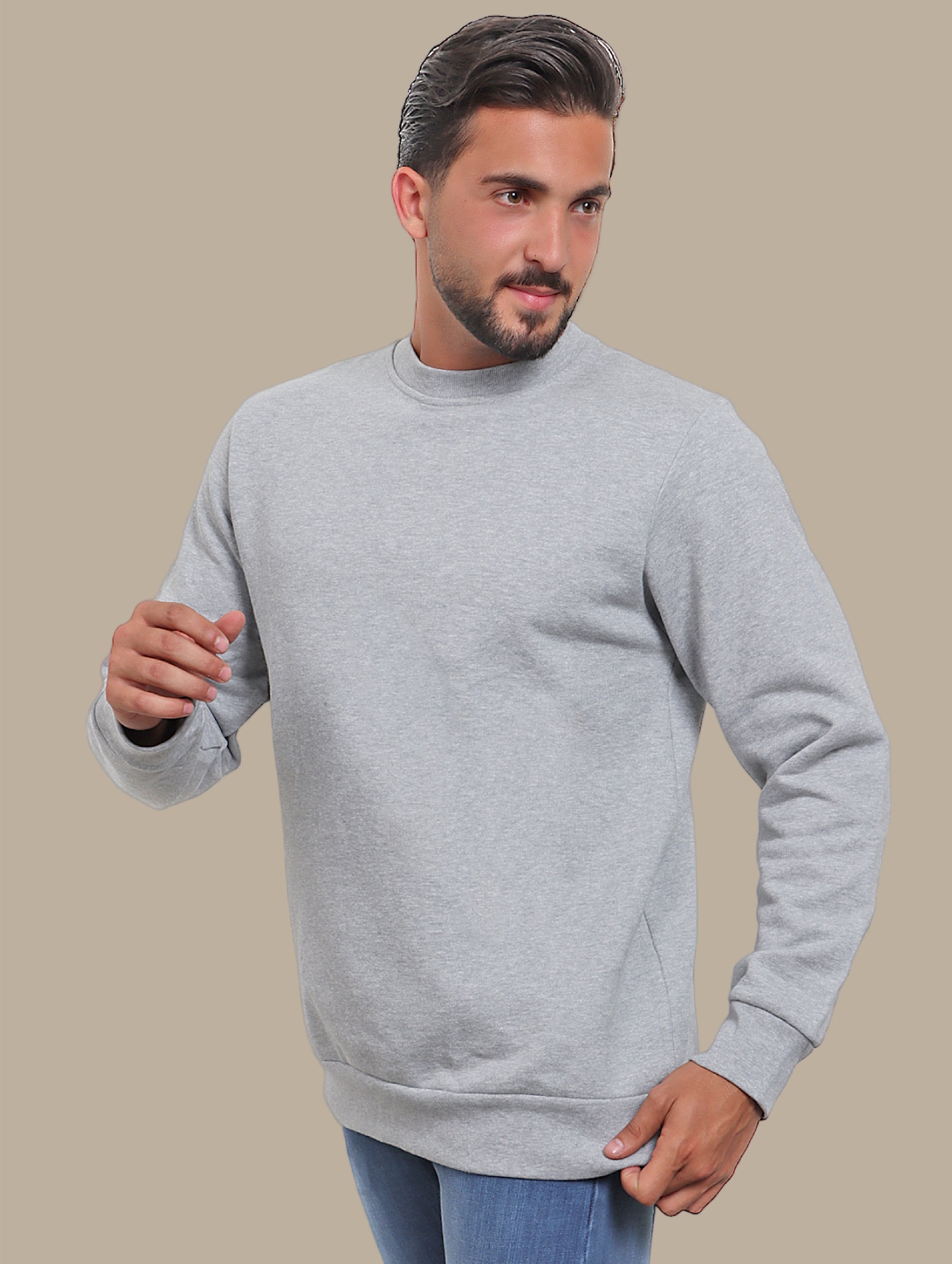 Sweatshirt Basic R-Neck | Light Grey